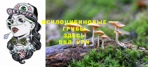 a pvp Корсаков