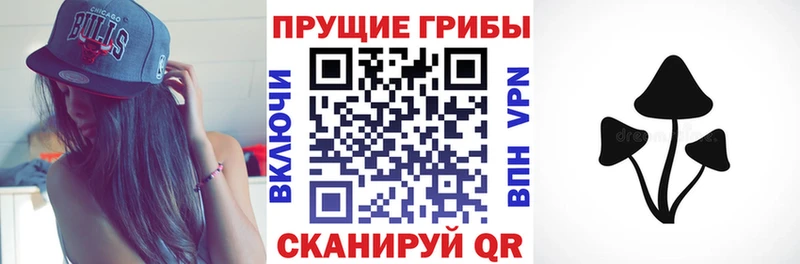 Псилоцибиновые грибы MAGIC MUSHROOMS  Купить закладки  Белебей 